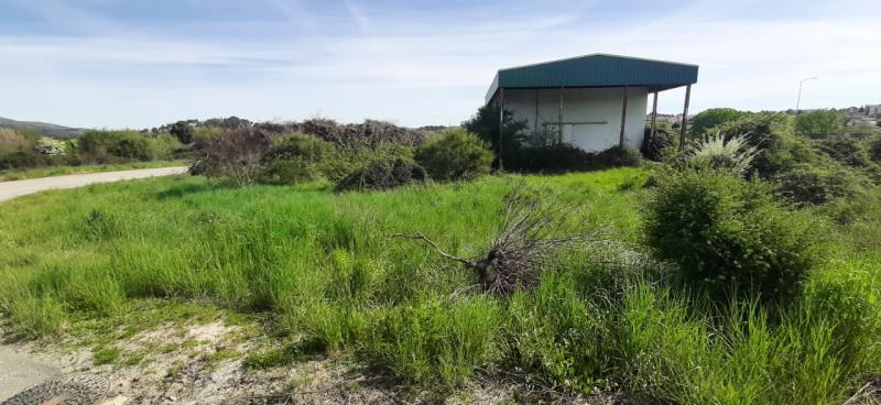 Fotografia de imóvel: Prédio misto com armazém em Leomil - Moimenta da Beira