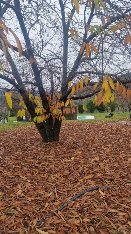 Fotografia de imóvel: Imóvel Rústico em Terras de Bouro