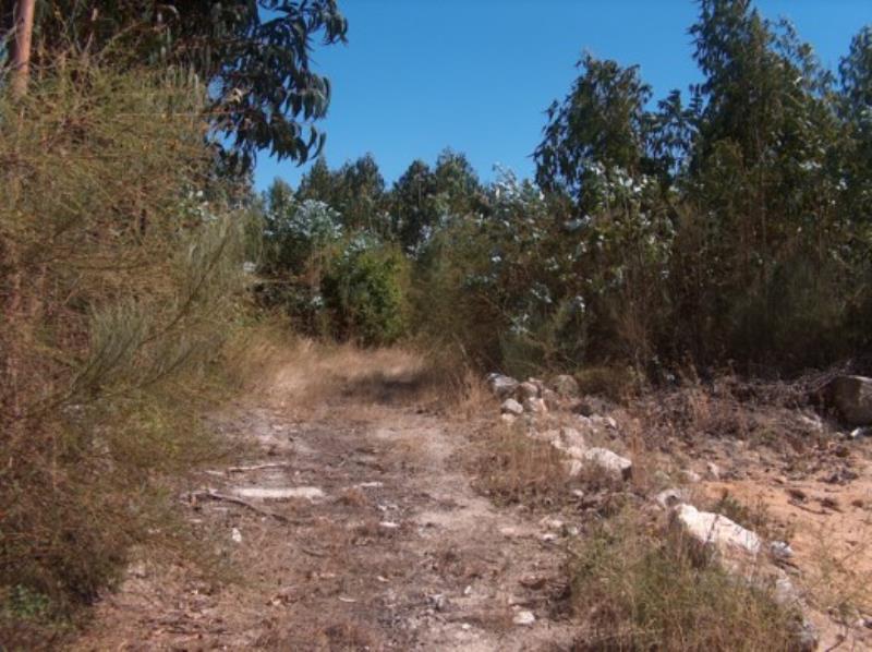 Fotografia de imóvel: Prédio Rústico - Carregal do Sal