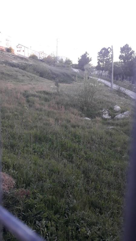 Fotografia de imóvel: metade indivisa dum prédio rústico