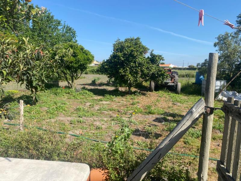 Fotografia de imóvel: Prédio Rústico Rego da Amoreira