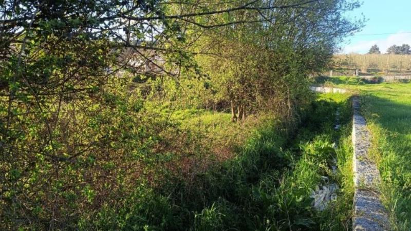 Fotografia de imóvel: Prédio rústico, em Raro, Caria, Moimenta da Beira.---