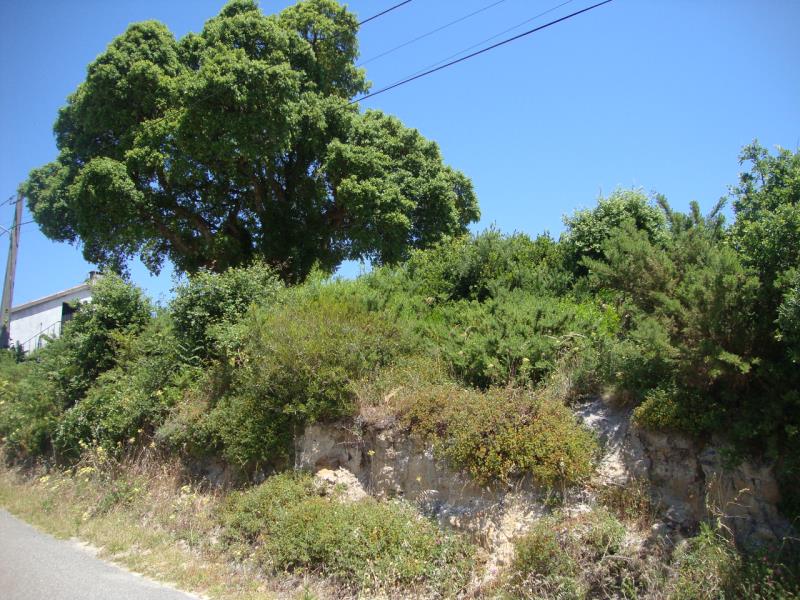 Fotografia de imóvel: Prédio rústico denominado Brejos, situado em Casais da Fonte, Nadadouro