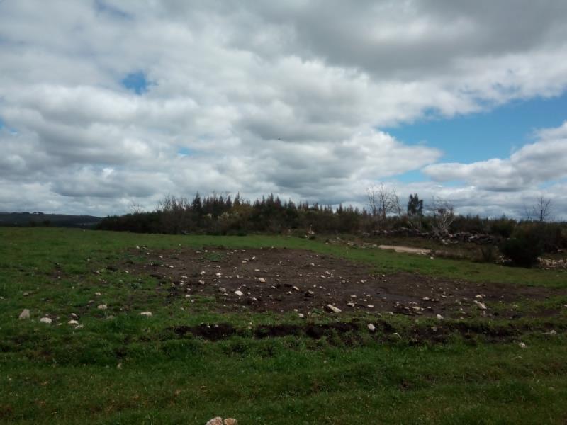 Fotografia de imóvel: Prédio rústico de 3000 m2, situado em Vila Nova de Paiva, Viseu