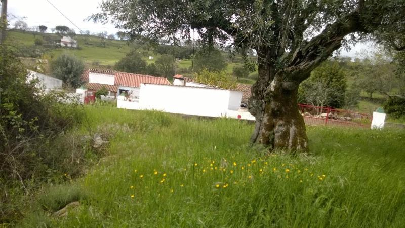 Fotografia de imóvel: Prédio Rústico em Urra, Portalegre com 500m2