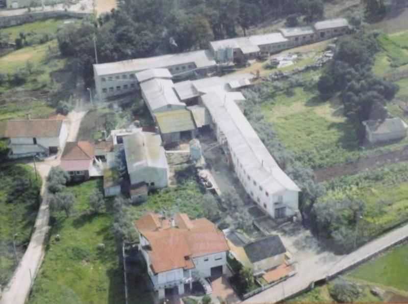 Fotografia de imóvel: ARMAZÉNS - GÓIS