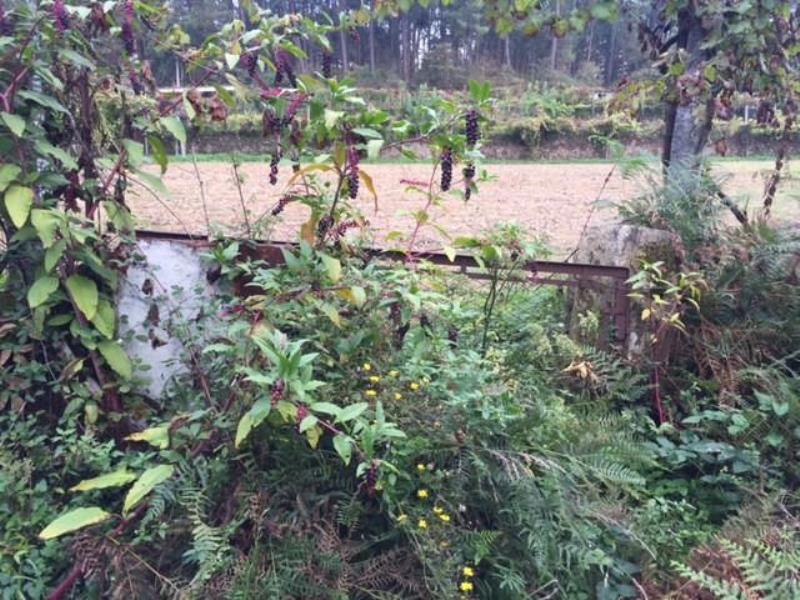 Fotografia de imóvel: Rústico no Pico, Vila Verde